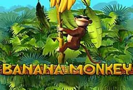 Banana Monkey review